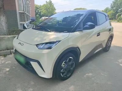 BYD Seagull · 2024 год