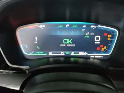 BYD PLUS New Energy 2024, 89000 км, за 86900 CNY - фото 14