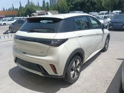 BYD Dolphin 2024, 300 км, за 90950.03 CNY - фото 6