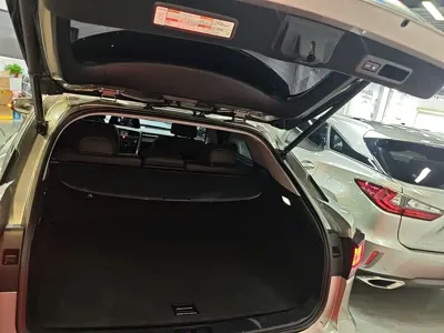 Lexus RX 2021, 109900 км, за 218500 CNY - фото 19