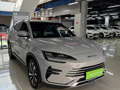 BYD PLUS New Energy · 2024 год