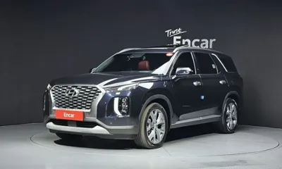 Hyundai Palisade · 2020 год