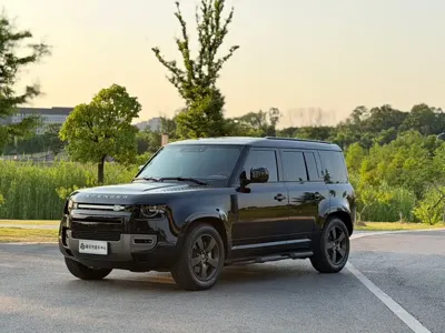 Land Rover Defender · 2024 год