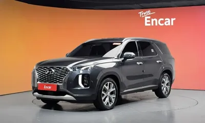 Hyundai Palisade · 2019 год