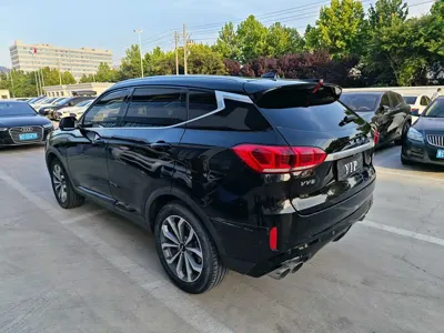 WEY Wey VV6 2020, 74000 км, за 41800 CNY - фото 2