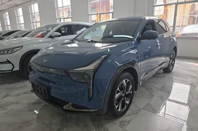 NETA U · 2021 год