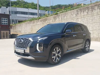 Hyundai Palisade · 2019 год