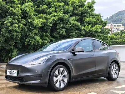 Tesla Model Y · 2022 год