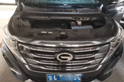 GAC Trumpchi M8 2020, 79000 км, за 98461.79 CNY - фото 24