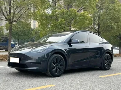 Tesla Model Y · 2024 год