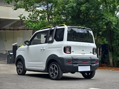 Galaxy Panda 2023, 13000 км, за 28800 CNY - фото 9