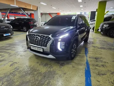 Hyundai Palisade · 2019 год