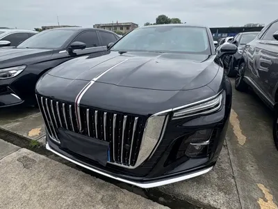 Hongqi Hongqi H5 · 2023 год