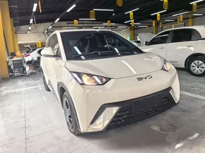 BYD Seagull 2025, 4100 км, за 55000 CNY