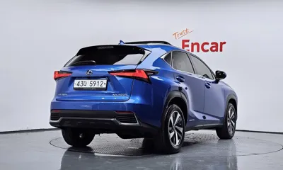 Lexus NX 2019, 22644 км, за 33900000 KRW - фото 2