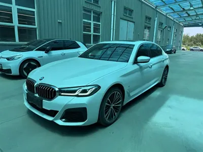 BMW 5 Series · 2022 год