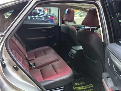 Lexus NX 2018, 90000 км, за 123600 CNY - фото 12
