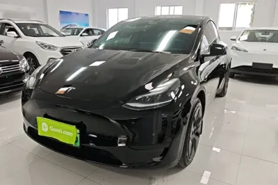 Tesla Model Y · 2023 год