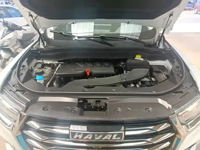 Haval H6 2023, 28400 км, за 64300 CNY - фото 20