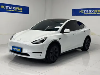 Tesla Model Y · 2024 год