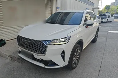 Haval H6 · 2021 год
