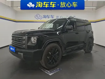 Haval Menglong New Energy · 2024 год