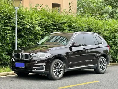 BMW X5 (Import) · 2018 год