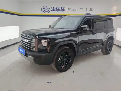 Haval Menglong New Energy · 2024 год