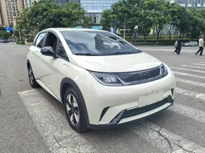 BYD Dolphin 2024, 8500 км, за 57500 CNY