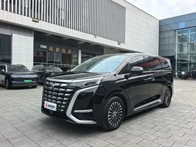 Denza Denza D9 · 2025 год