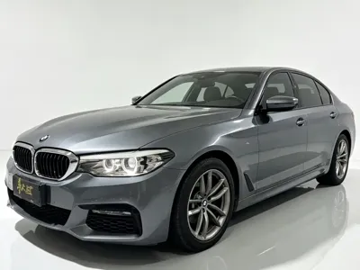 BMW 5 Series (Import) · 2018 год