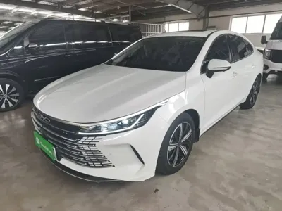 BYD Destroyer 05 · 2023 год