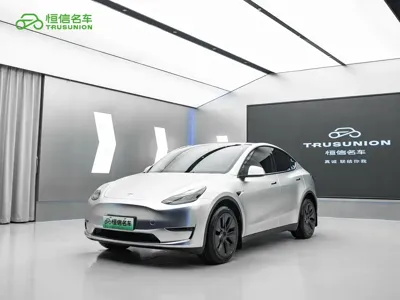 Tesla Model Y · 2024 год