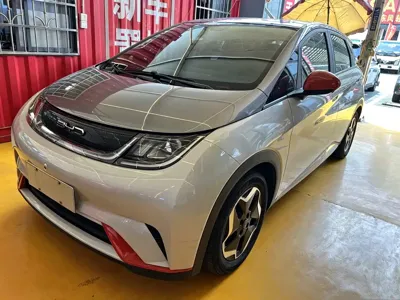 BYD Dolphin · 2022 год