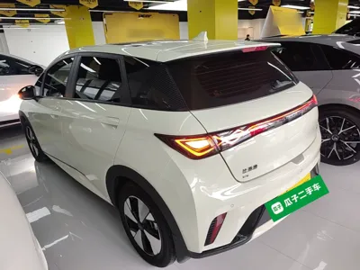 BYD Dolphin 2023, 24800 км, за 78747.68 CNY