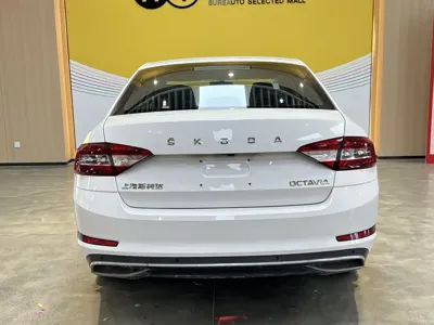 Skoda Octavia 2020, 70000 км, за 52000 CNY - фото 5