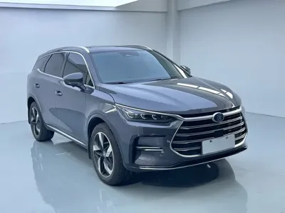 BYD Tang New Energy · 2024 год