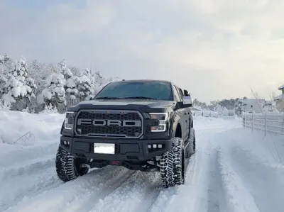 Ford F150 · 2016 год