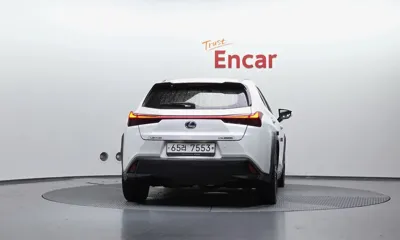 Lexus UX 2019, 105184 км, за 27900000 KRW