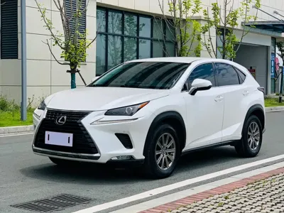 Lexus NX · 2020 год