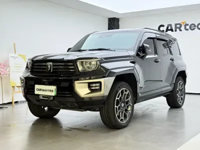 Tank Tank 700 New Energy · 2024 год