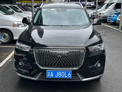 Haval H6 · 2020 год