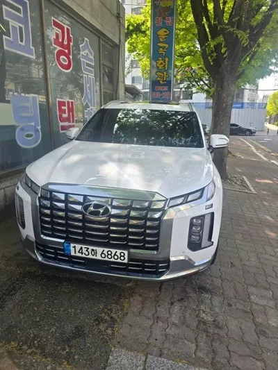 Hyundai Palisade · 2023 год