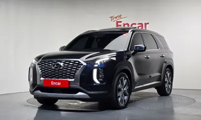 Hyundai Palisade · 2019 год