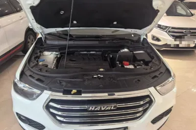 Haval H6 2019, 25099 км, за 59377.08 CNY - фото 24
