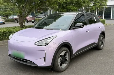 Geely Galaxy Geome · 2026 год