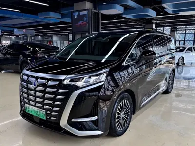 Denza Denza D9 · 2023 год