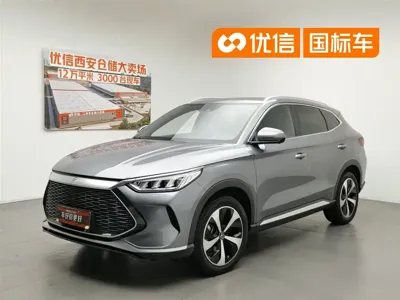 BYD PLUS New Energy · 2023 год