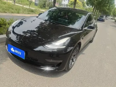 Tesla Model 3 · 2020 год