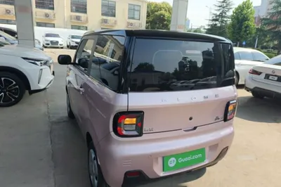 Geely Galaxy Panda 2024, 7000 км, за 6607 USD - фото 4